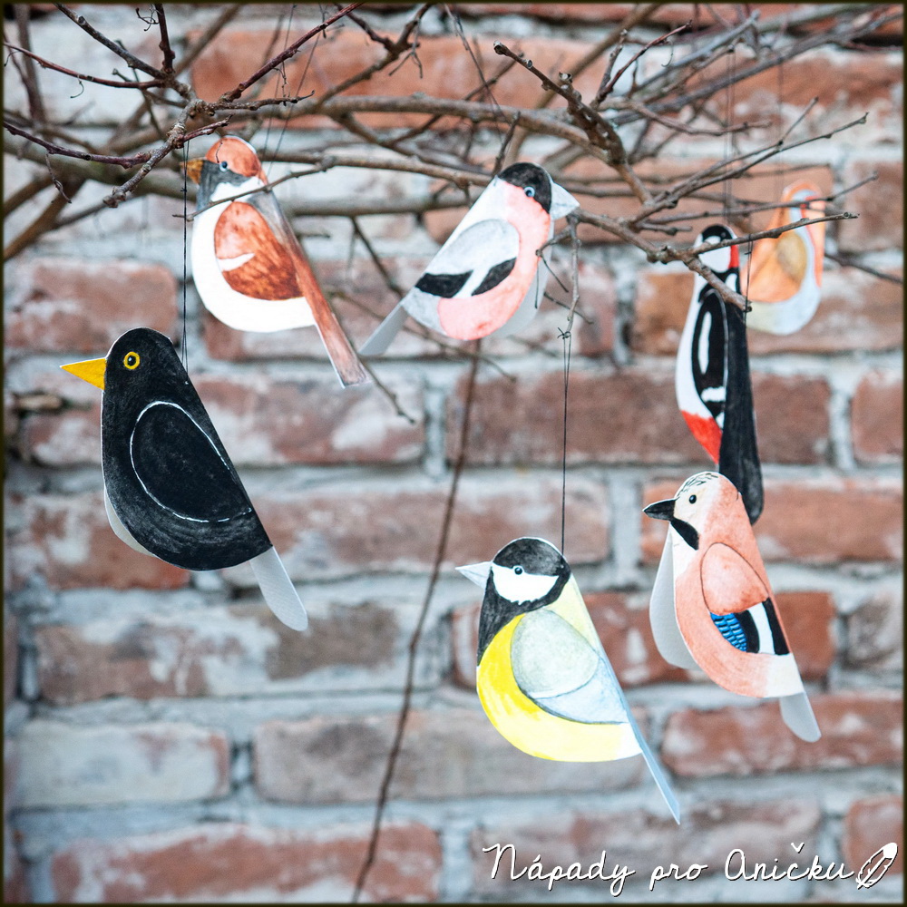 Ptačí vystřihovánky