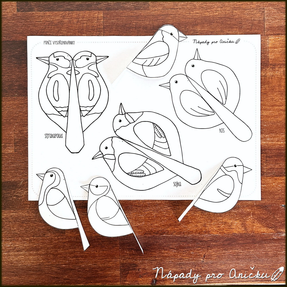 Ptačí vystřihovánky