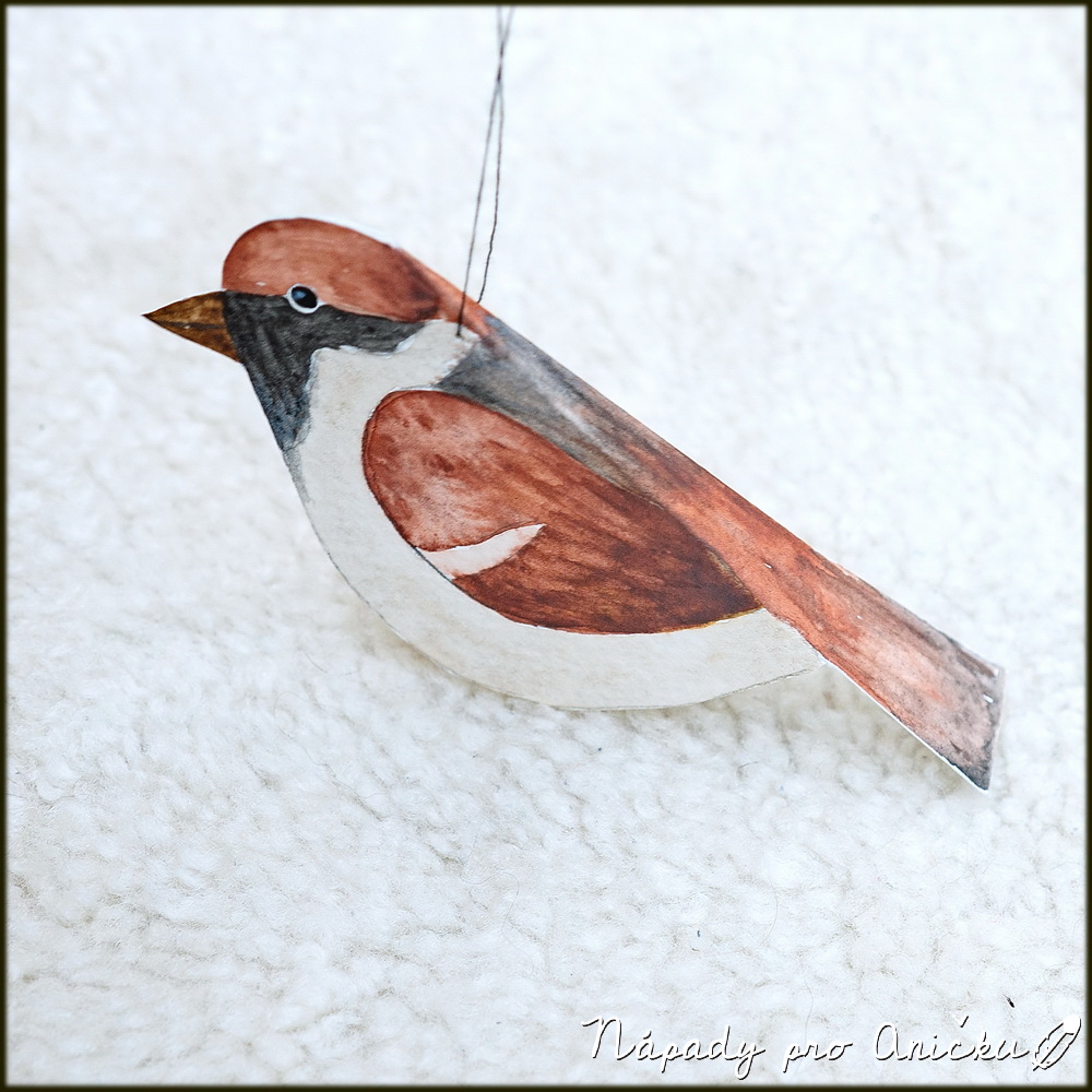 Ptačí vystřihovánky